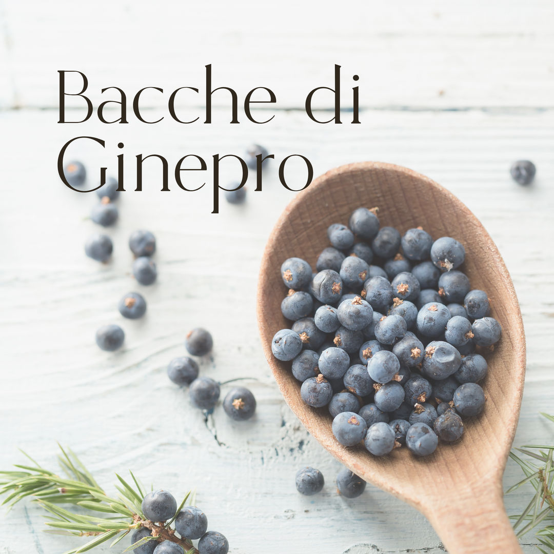 bacche di ginepro conero beauty