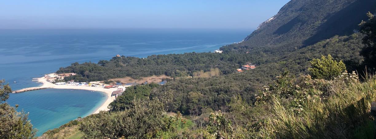 spiaggia di portonovo vista dall'alto con vegetazione e acque cristalline della baia di portonovo