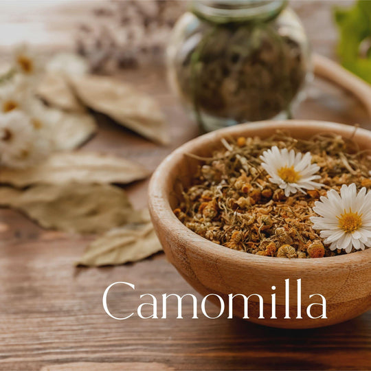 camomilla-conero-beauty